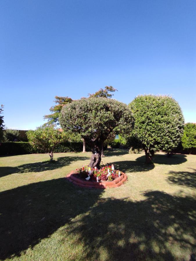Pension Casa Carmela Playa de la Lanzada Exteriör bild